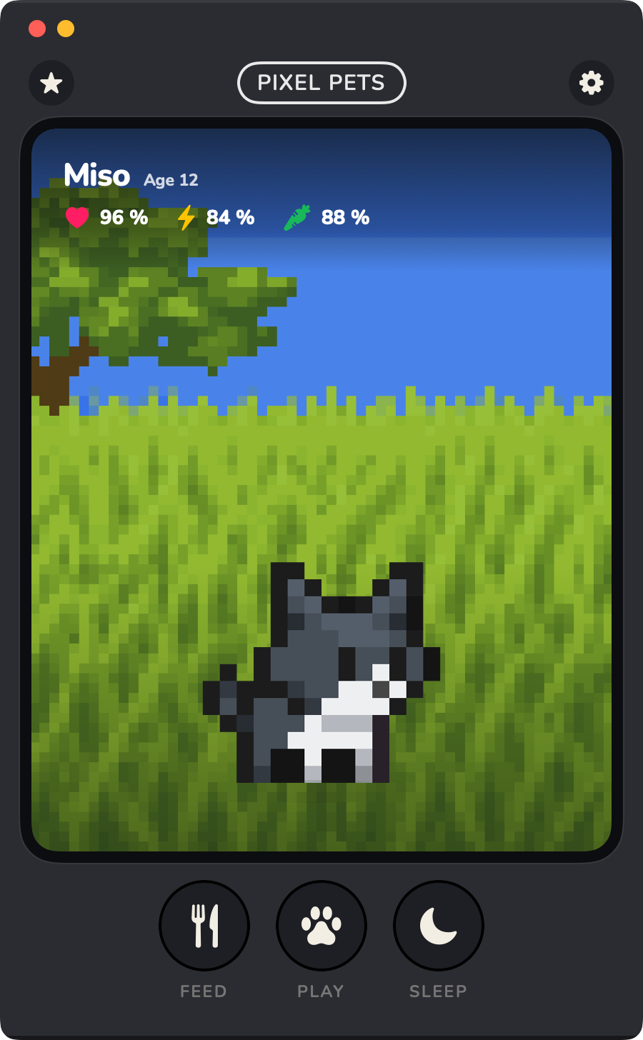 Pixel Pets running on a Mac